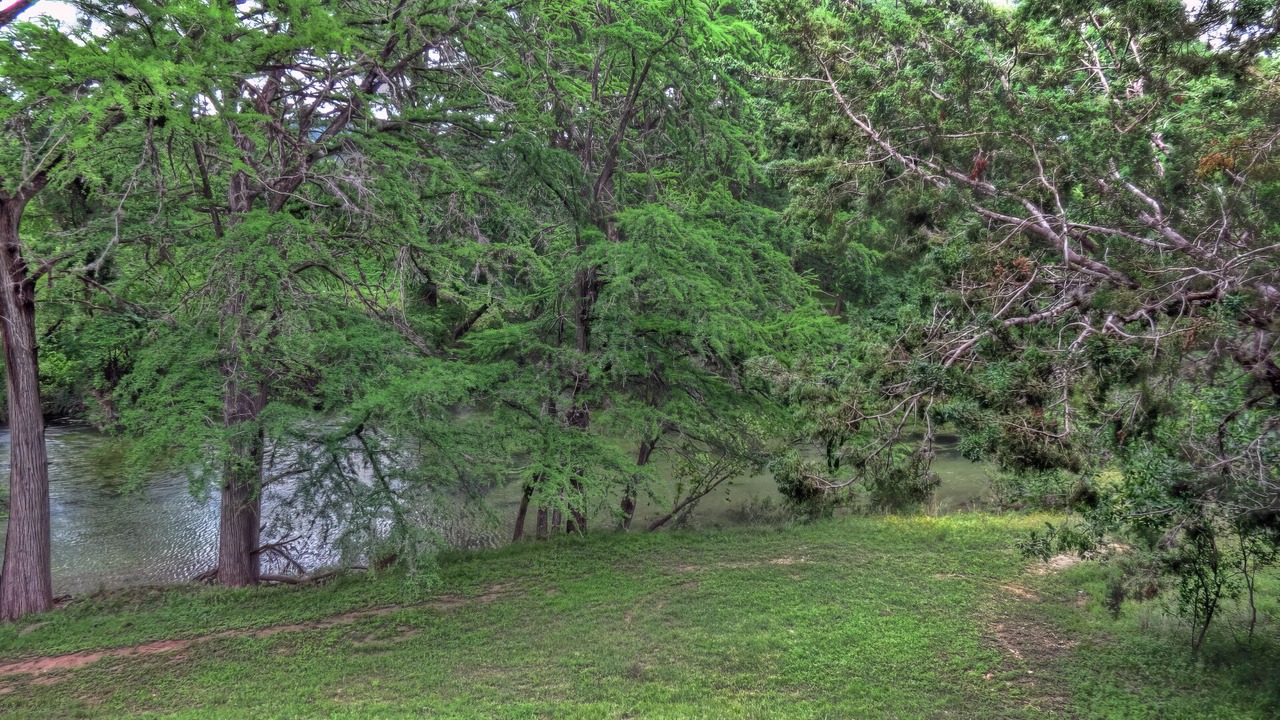 Photo of Others in Rio Frio