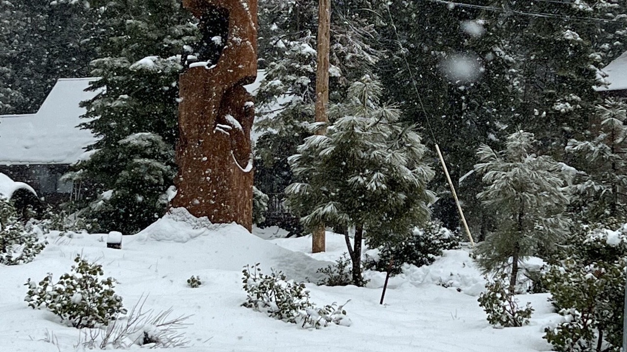 Photo of Others in Tahoe Vista