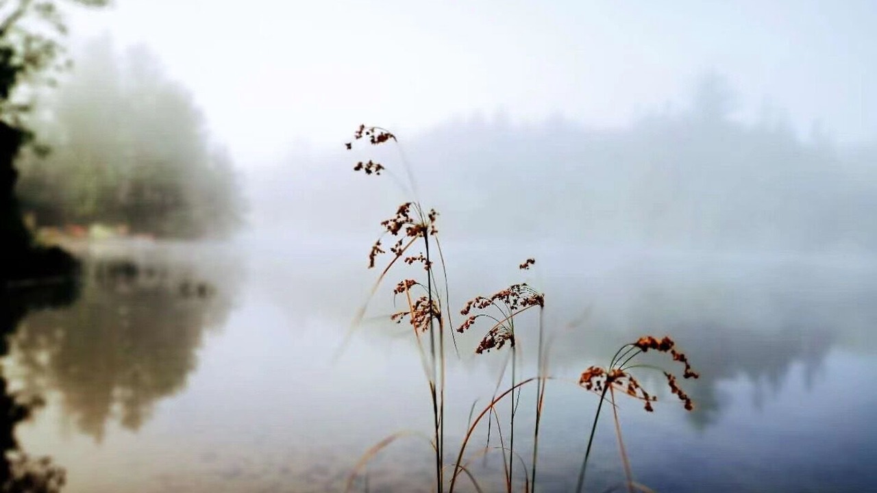 Photo of Outdoor in Novar