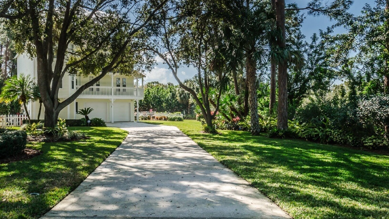Photo of Outdoor in Palm Harbor