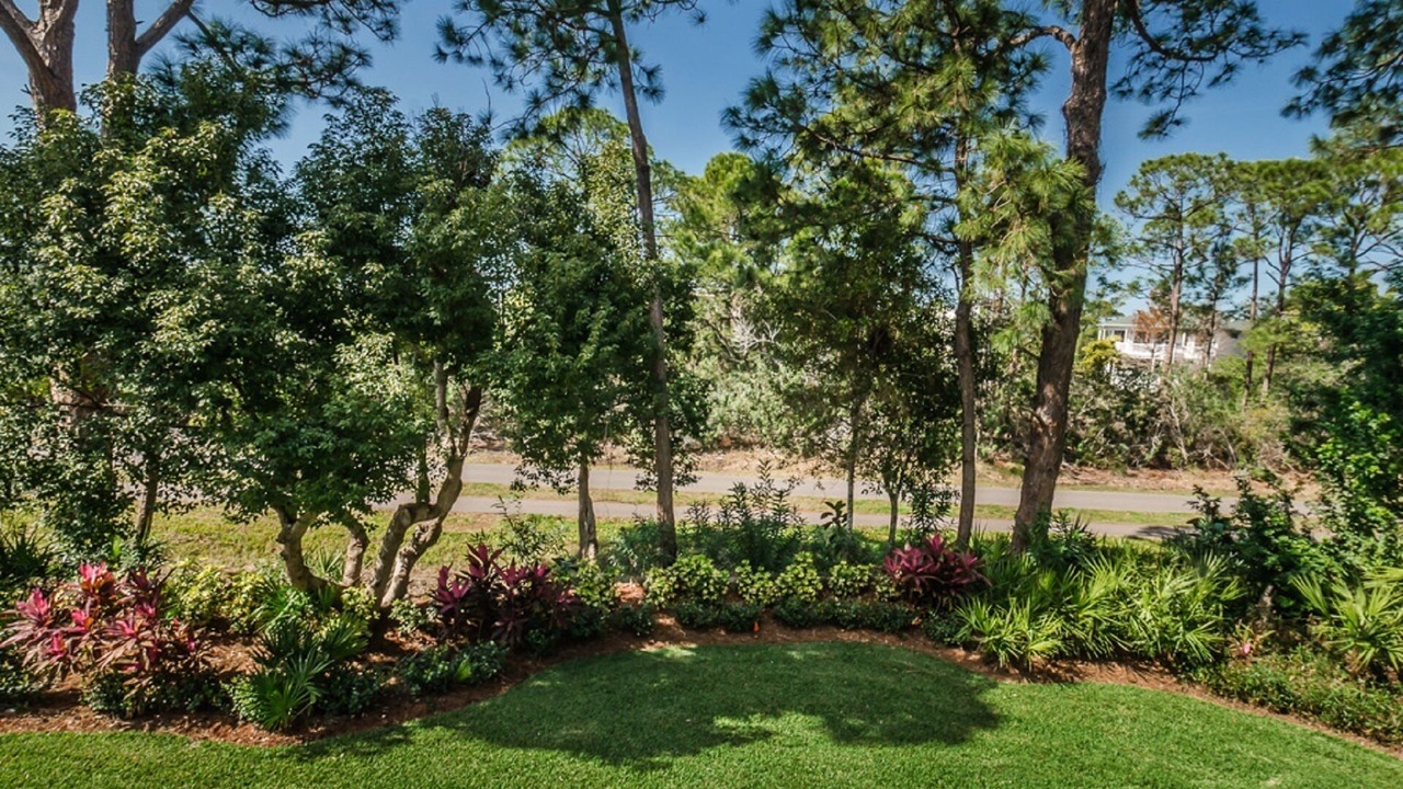 Photo of Patio Balcony in Palm Harbor