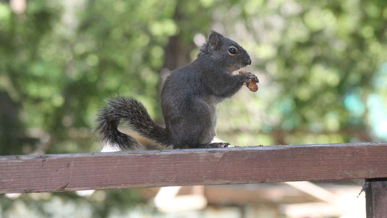 Photo of Others in Leavenworth