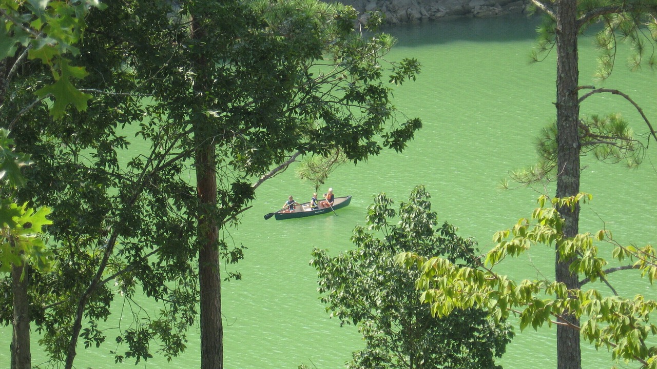 Photo of Others in Dandridge
