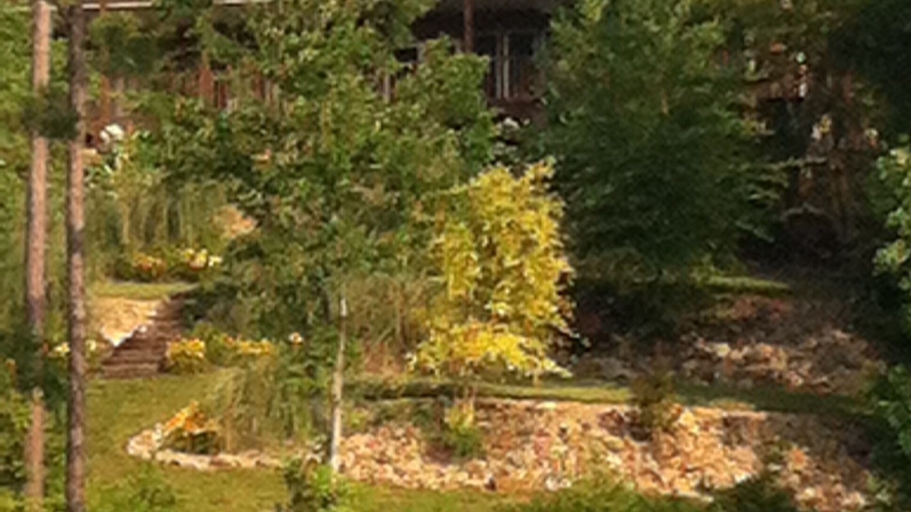 Photo of Outdoor in Dandridge