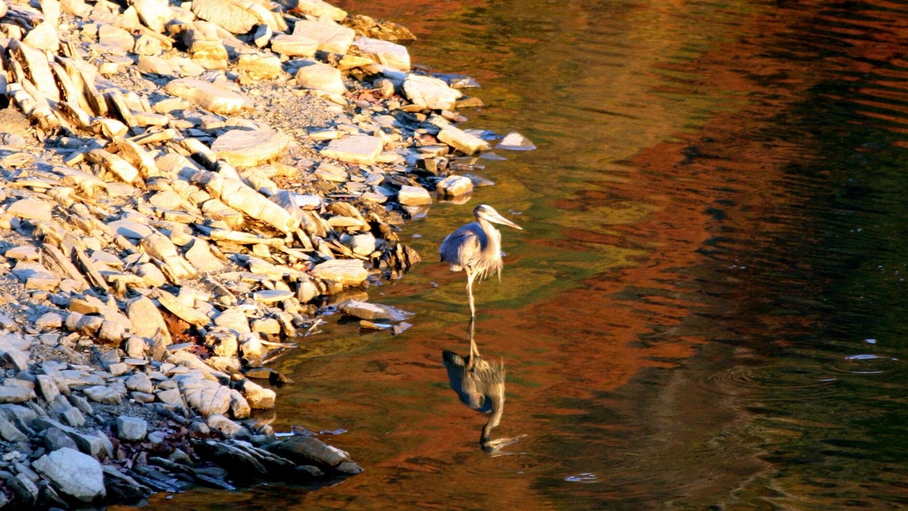 Photo of Others in Dandridge