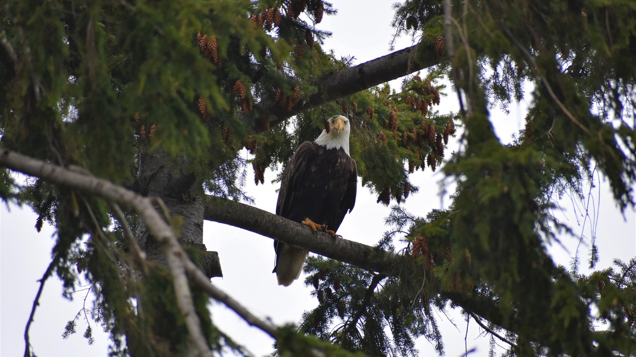 Photo of Others in Diamond Point