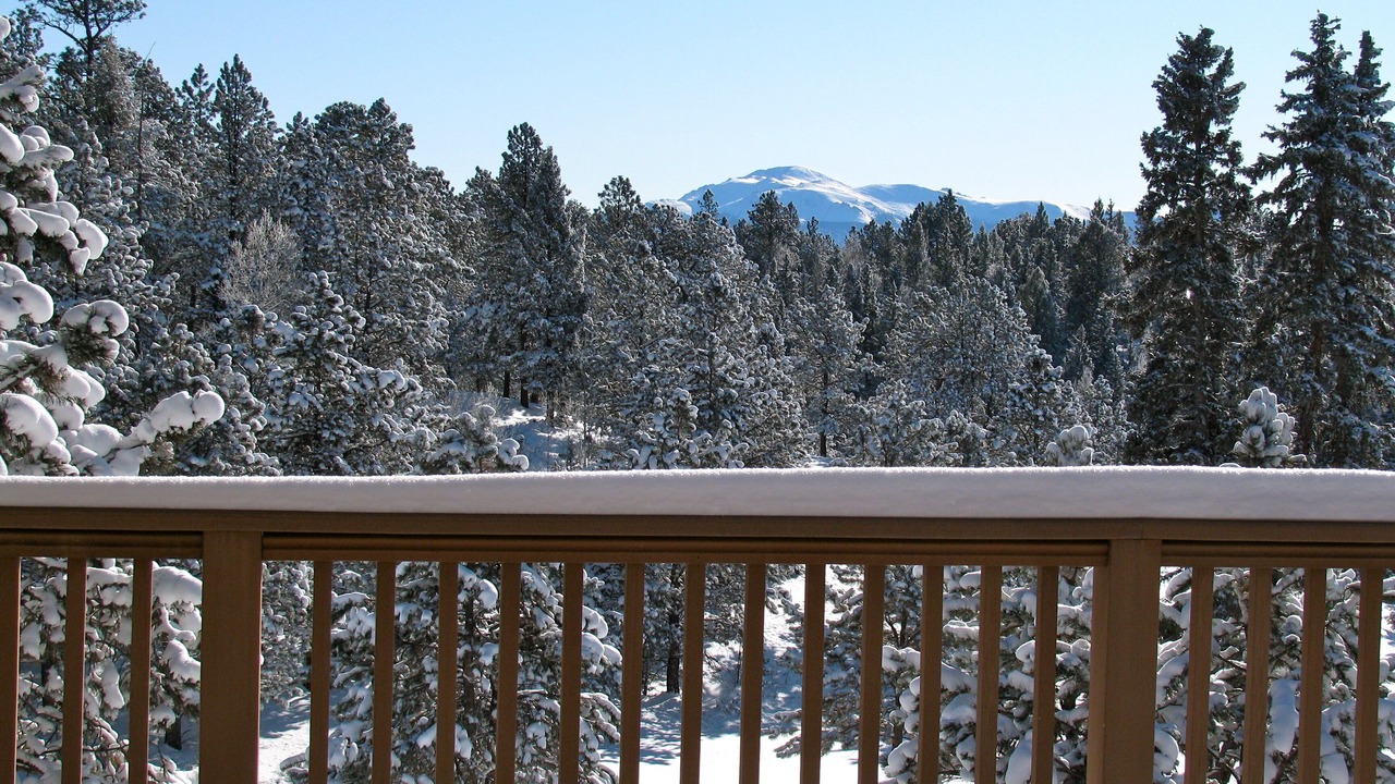 Photo of Others in Divide