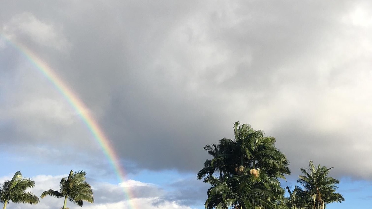 Photo of Others in Papaikou