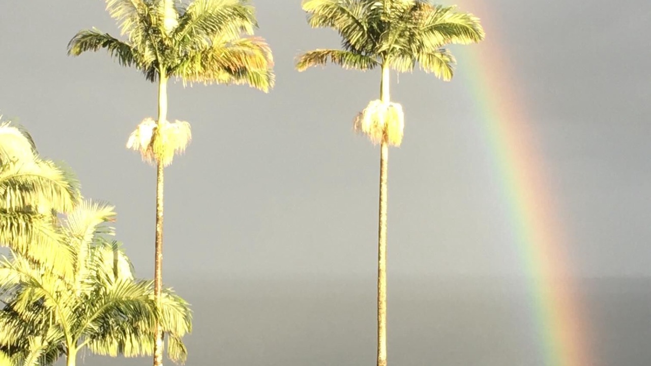 Photo of Others in Papaikou