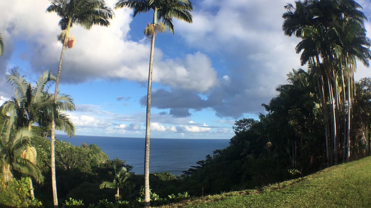 Photo of Others in Papaikou