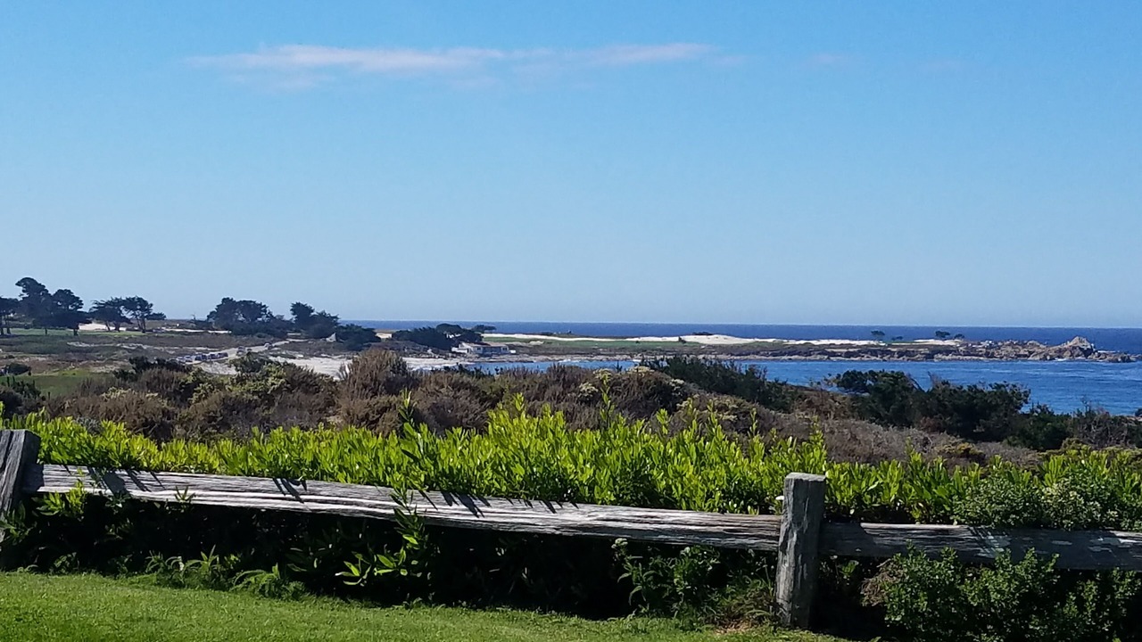 Photo of Others in Pacific Grove