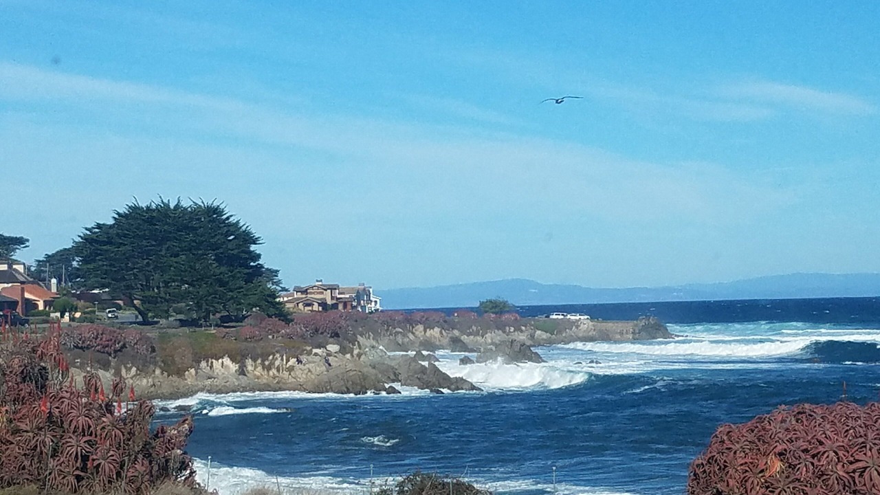 Photo of Others in Pacific Grove