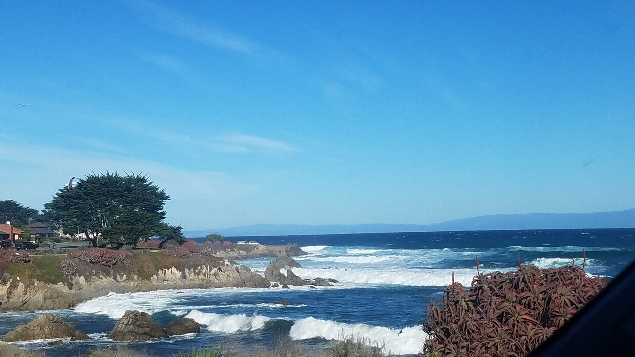 Photo of Outdoor in Pacific Grove