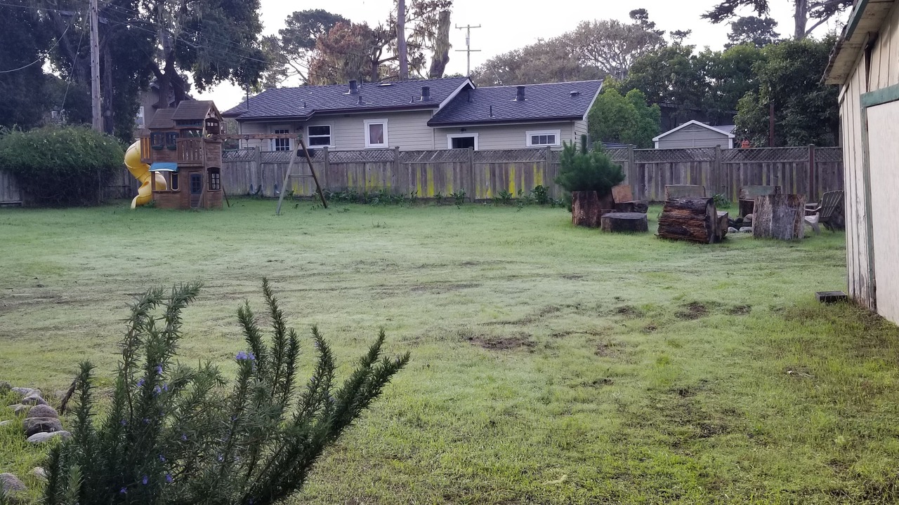 Photo of Others in Pacific Grove