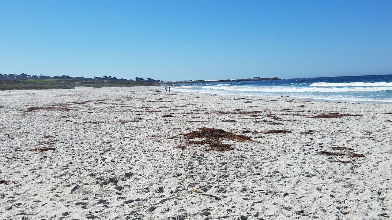 Photo of Others in Pacific Grove