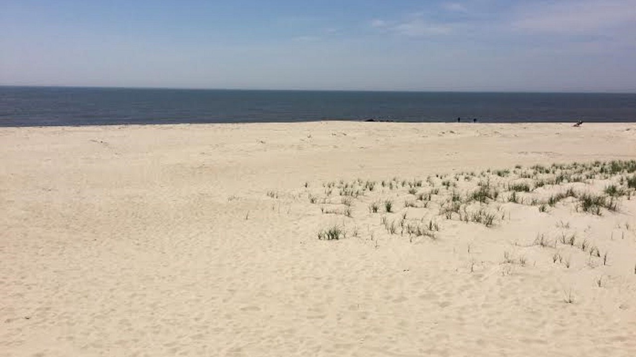 Photo of Others in Cape May Point
