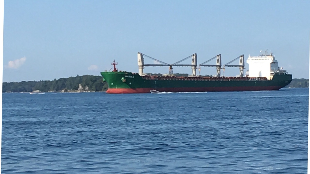 Photo of Others in Cape Vincent