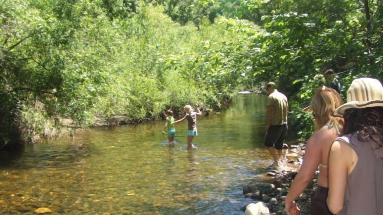 Photo of Outdoor in Sutter Creek