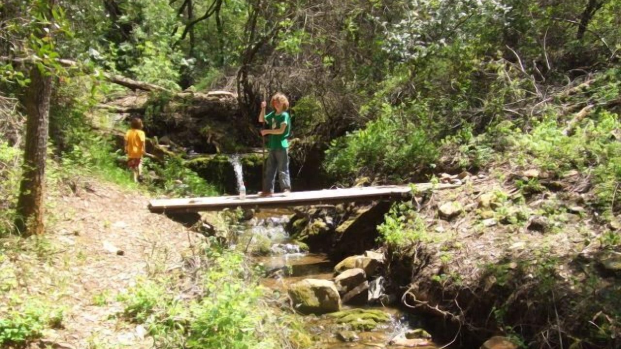 Photo of Outdoor in Sutter Creek