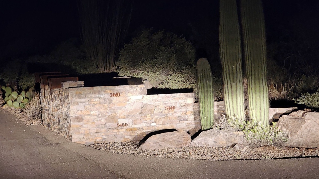Photo of Others in Tucson