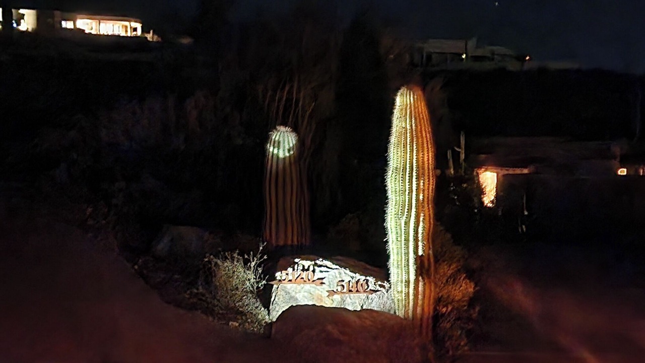 Photo of Others in Tucson