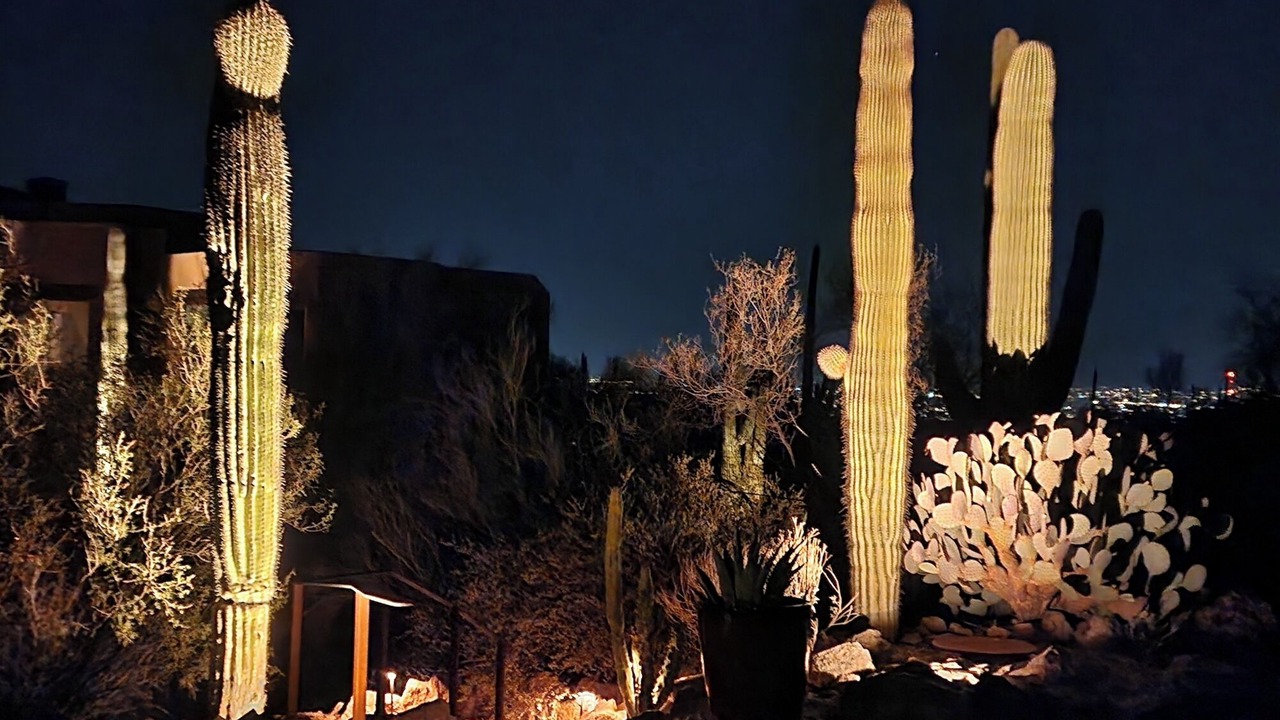 Photo of Others in Tucson