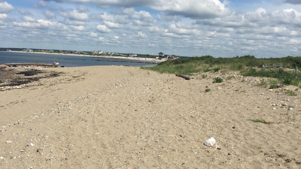 Photo of Others in Point Judith