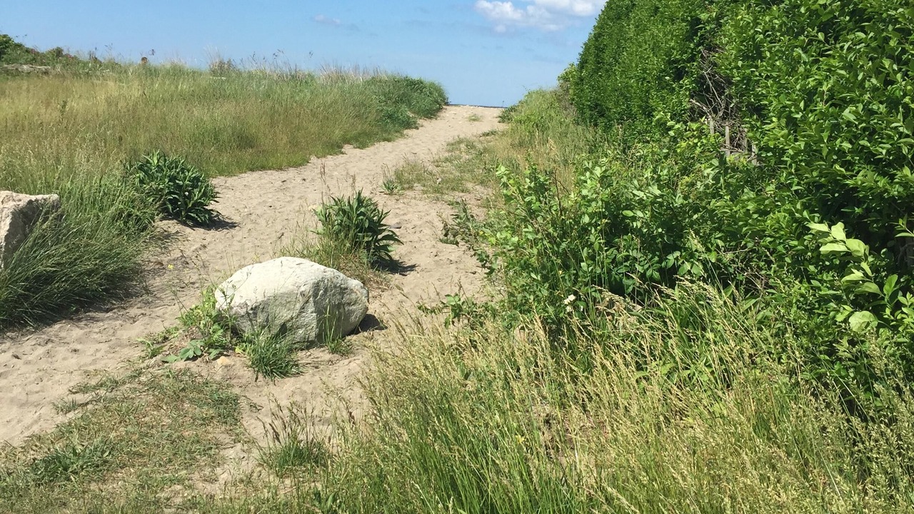 Photo of Outdoor in Point Judith