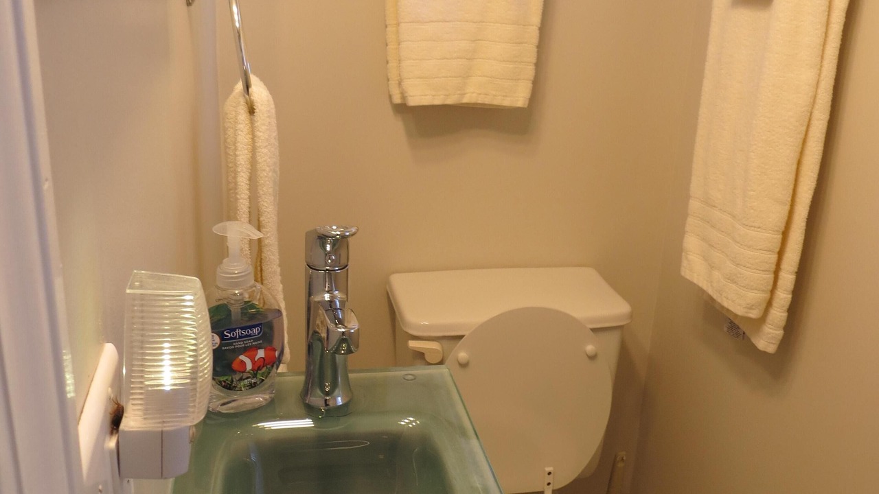 Photo of Bathroom in Valois