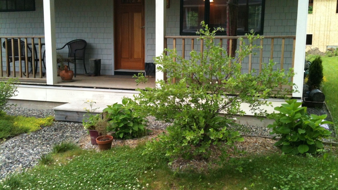 Photo of Others in Camden