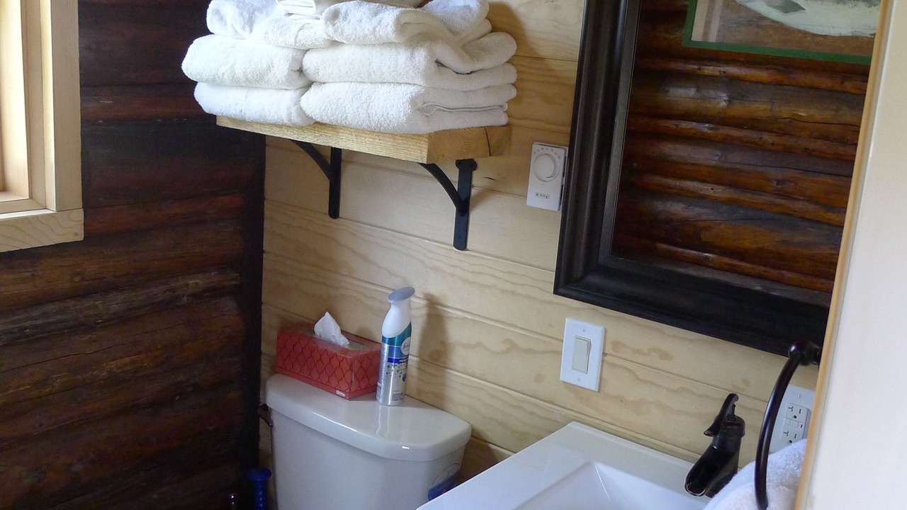 Photo of Bathroom in Wilson