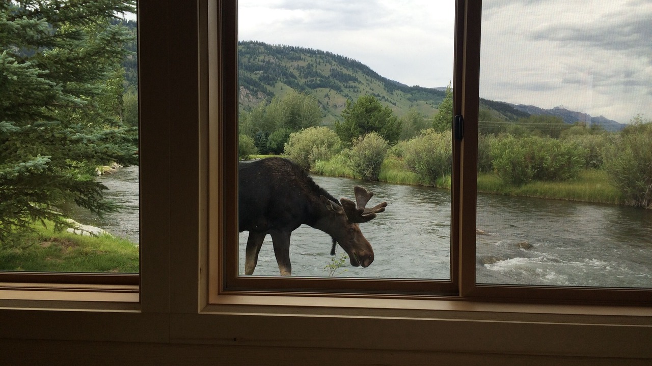 Photo of Others in Wilson