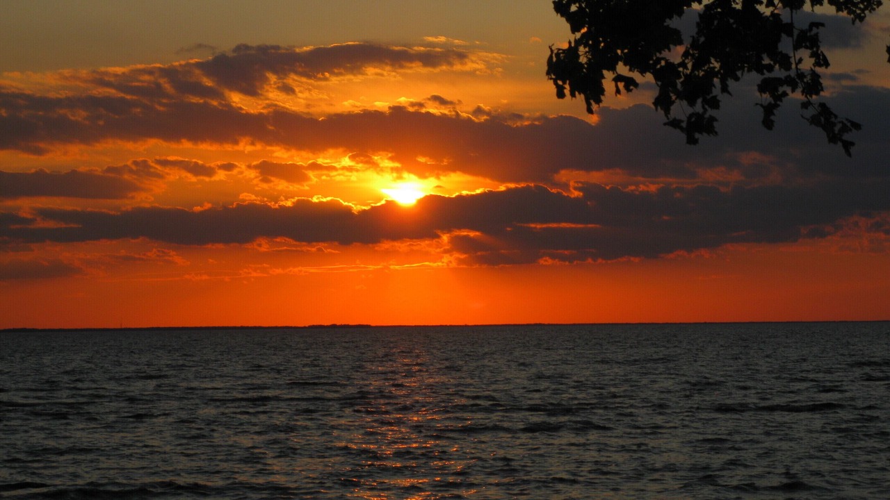 Photo of Others in Blossvale