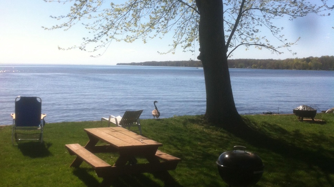 Photo of Others in Blossvale