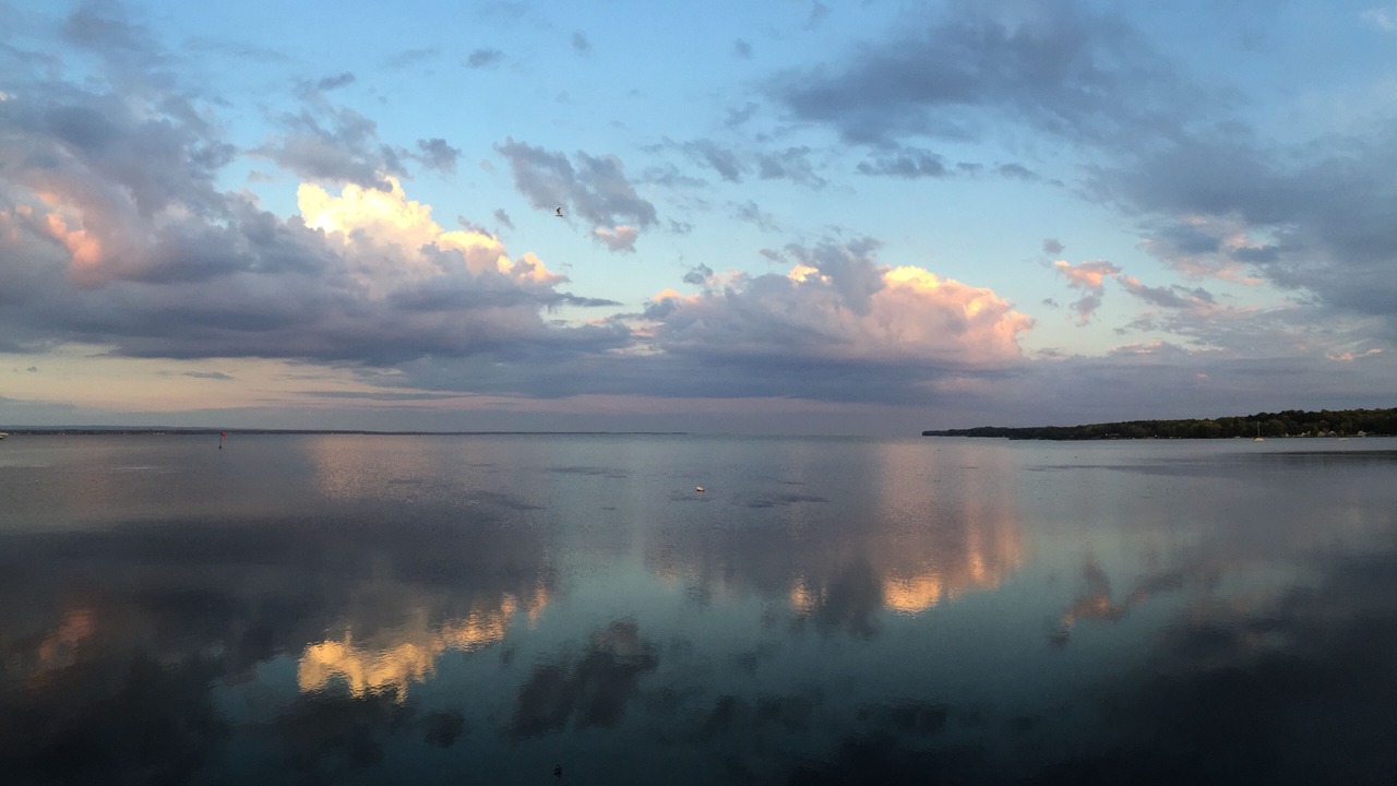 Photo of Others in Blossvale