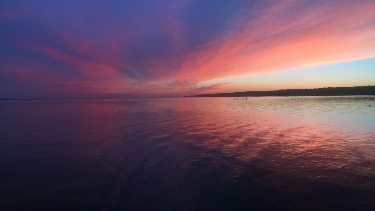 Photo of Others in Blossvale