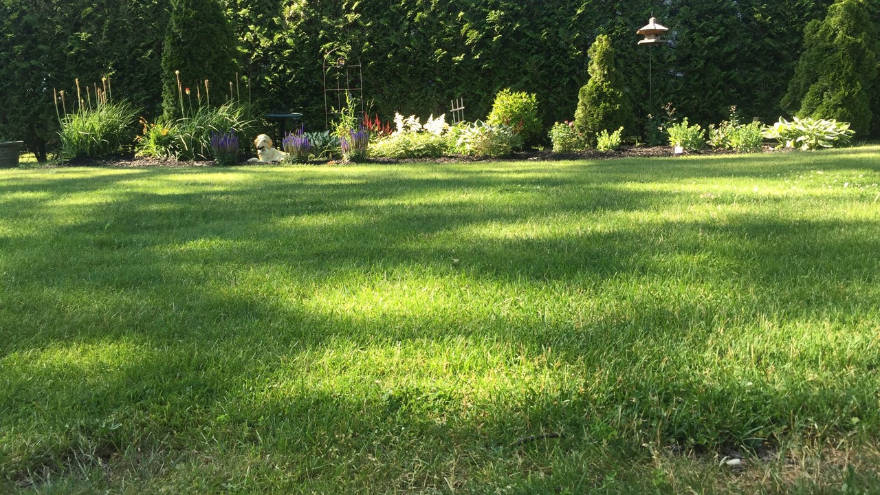 Photo of Outdoor in Blossvale