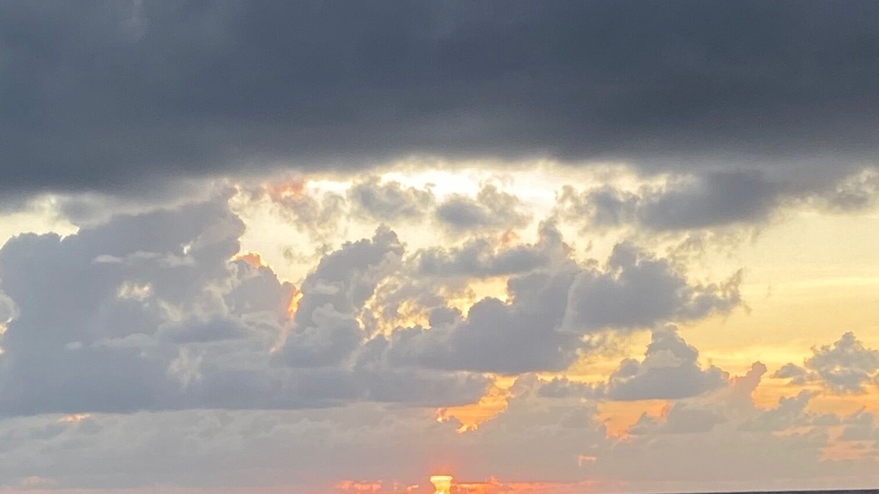 Photo of Others in Hollywood