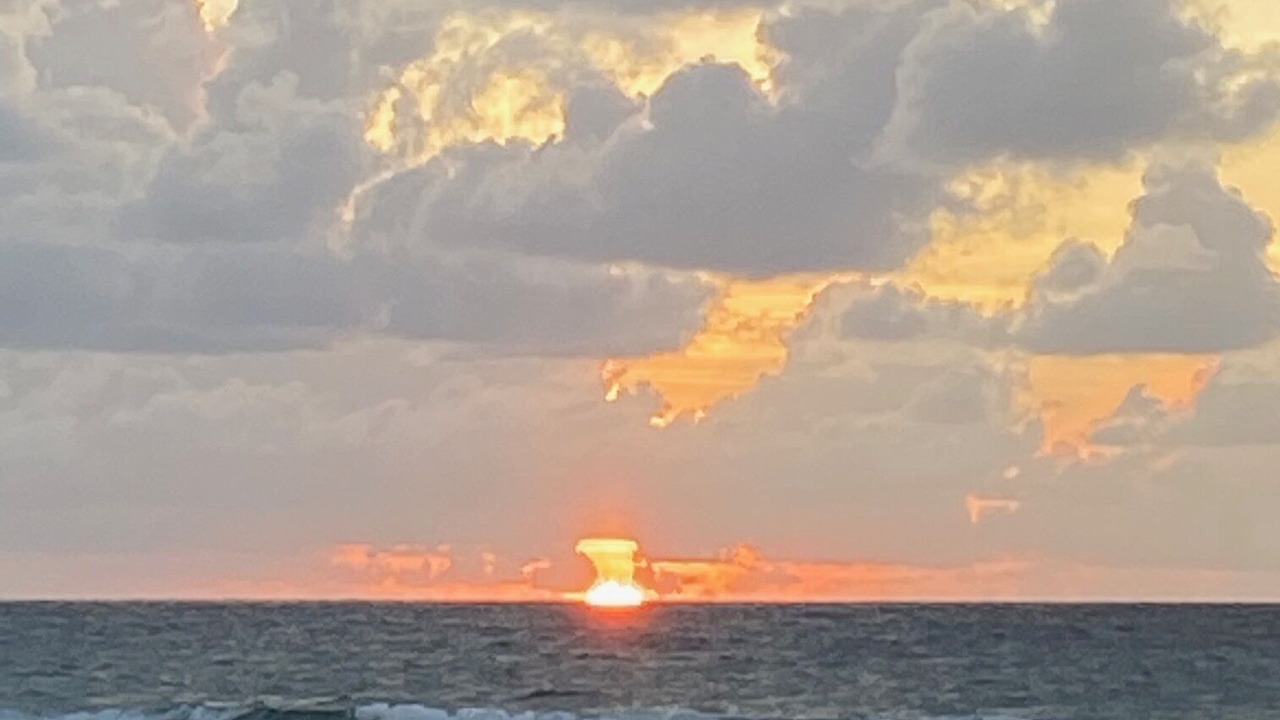 Photo of Others in Hollywood