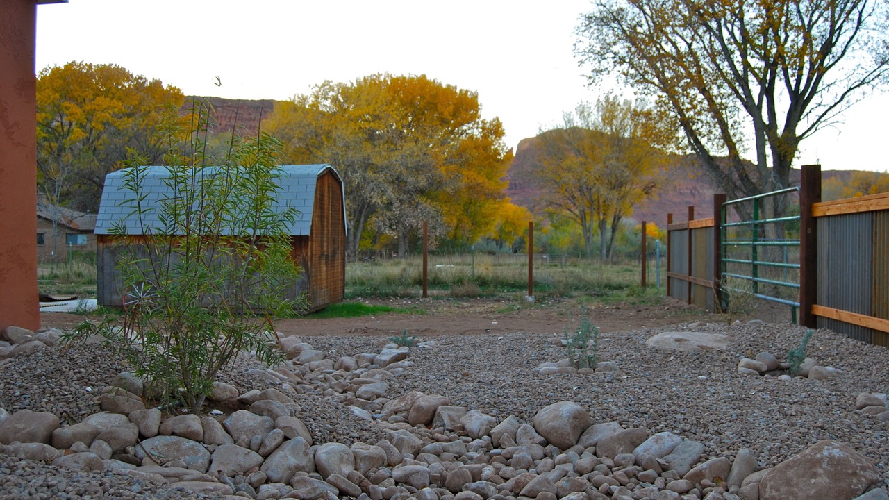 Photo of Others in Moab