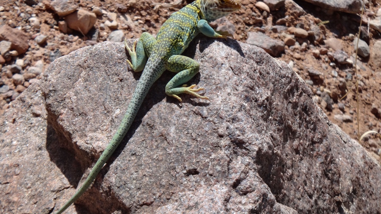 Photo of Outdoor in Moab