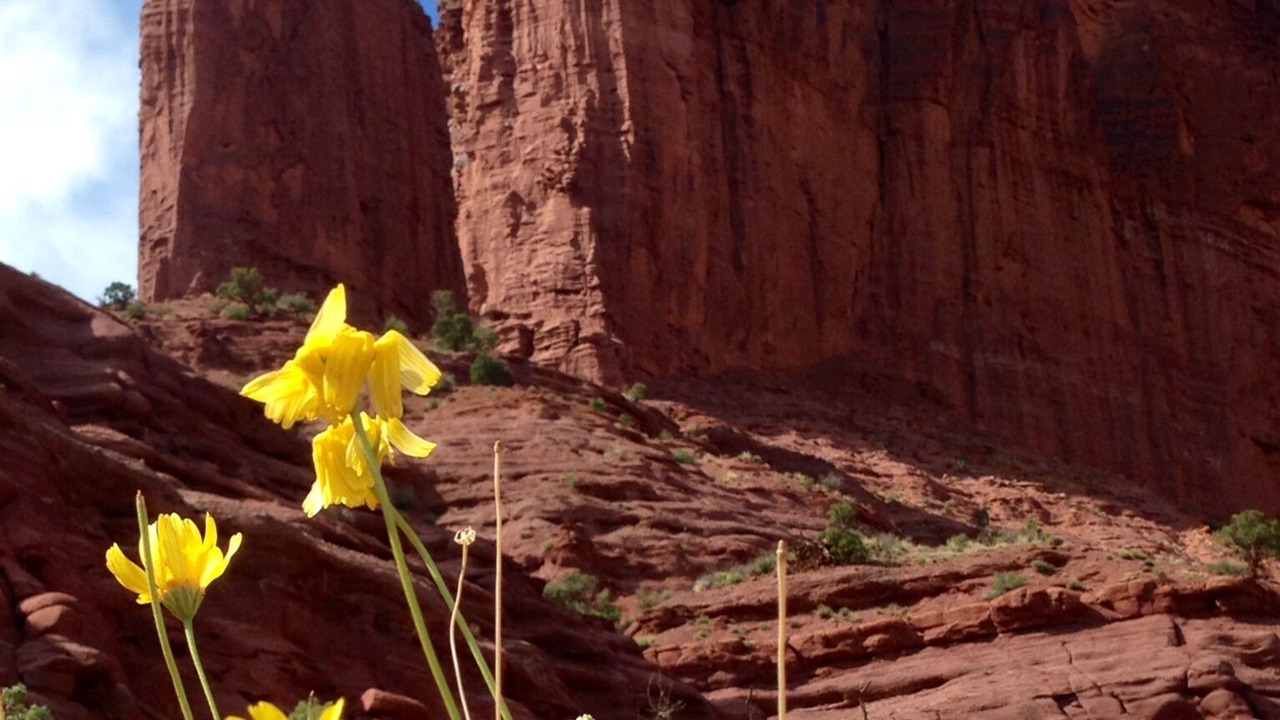 Photo of Outdoor in Moab