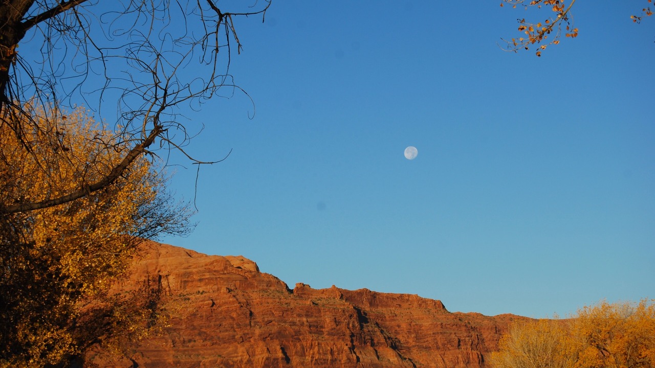 Photo of Others in Moab