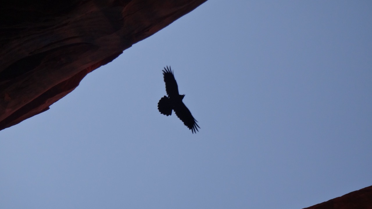 Photo of Others in Moab