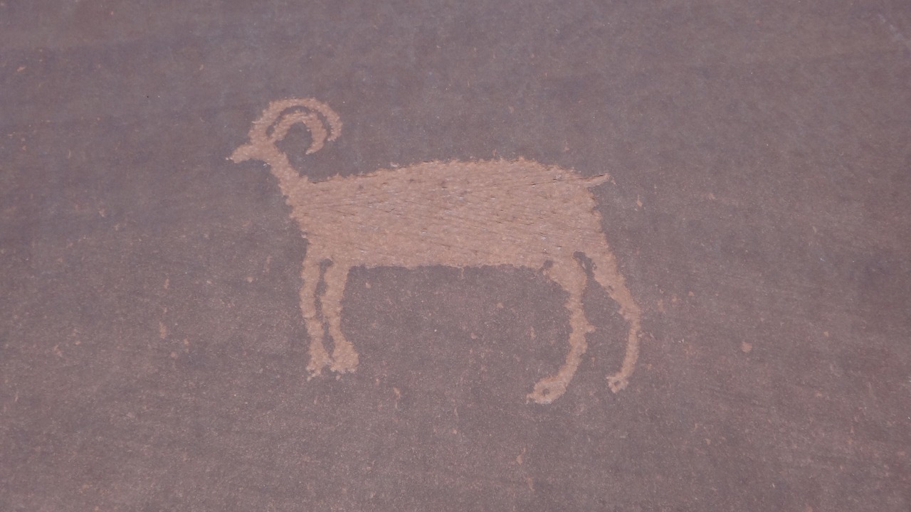 Photo of Others in Moab