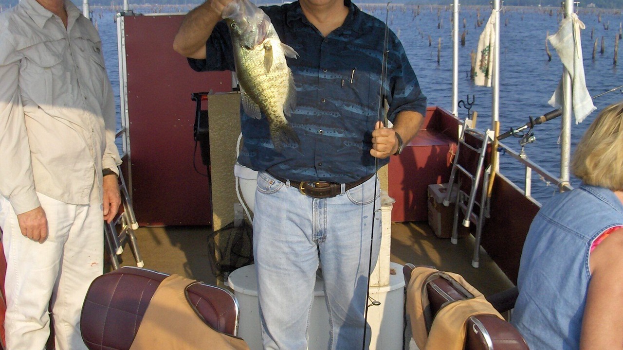 Photo of Others in Negreet