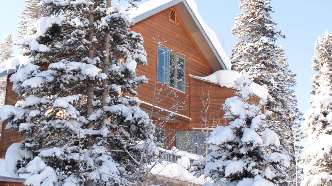 Photo of Others in Telluride