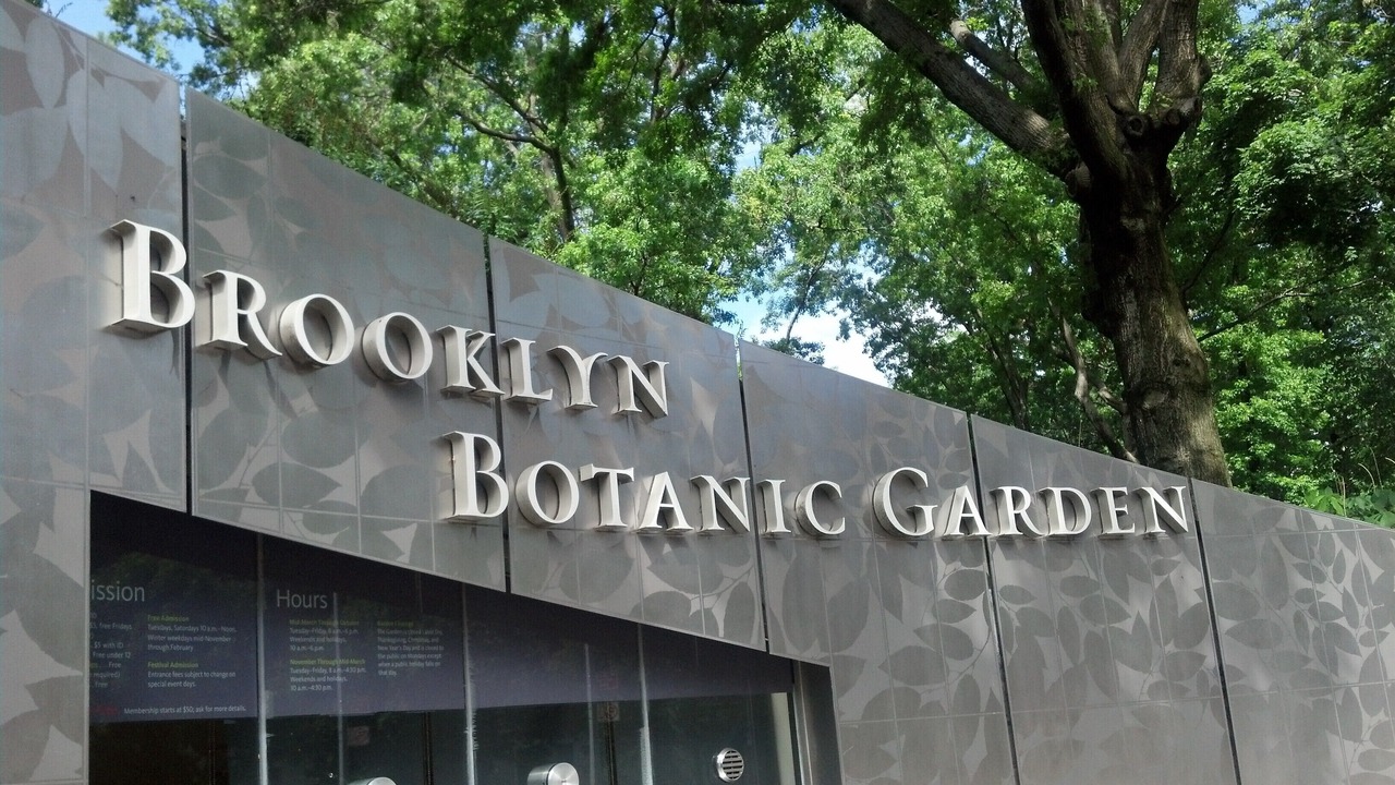 Photo of Outdoor in Bedford-Stuyvesant