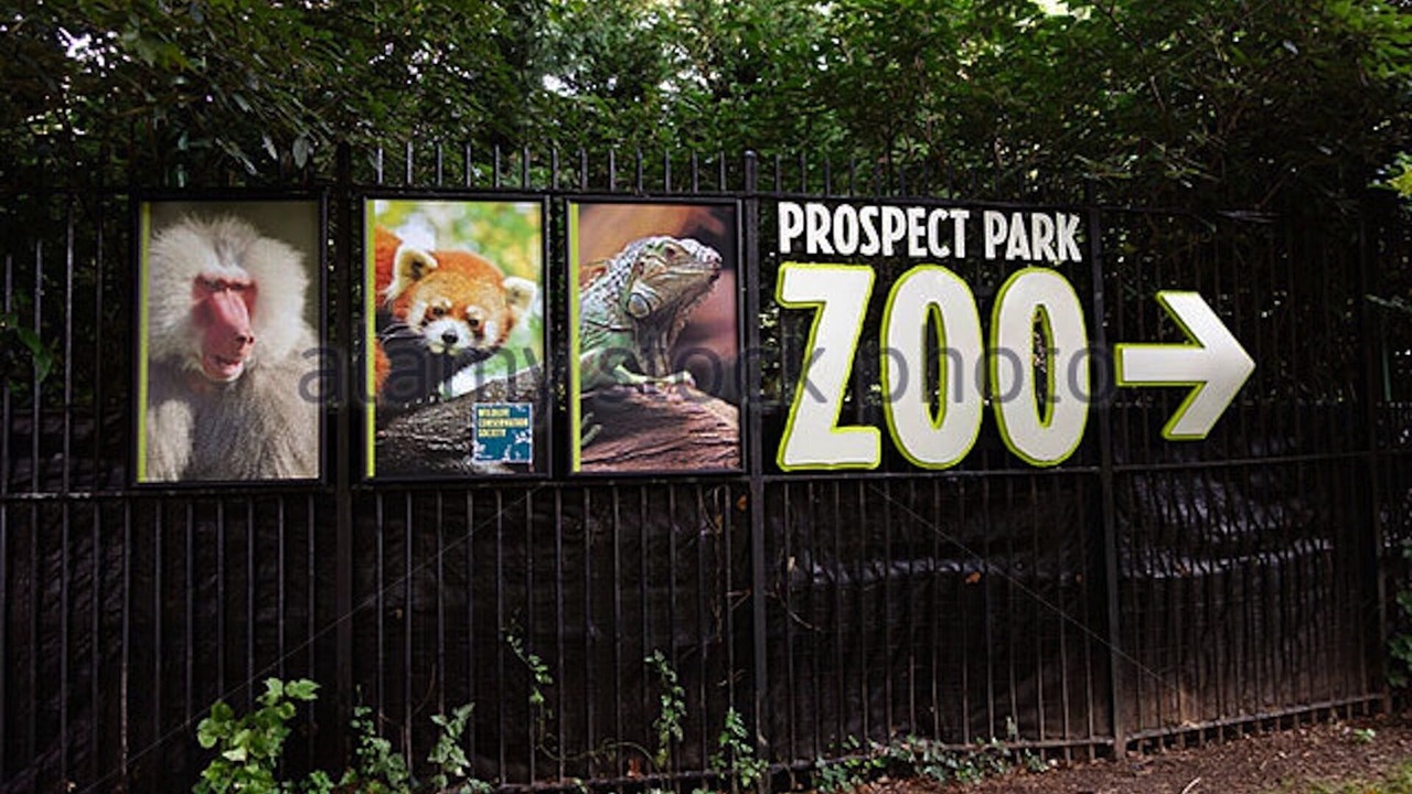 Photo of Outdoor in Bedford-Stuyvesant