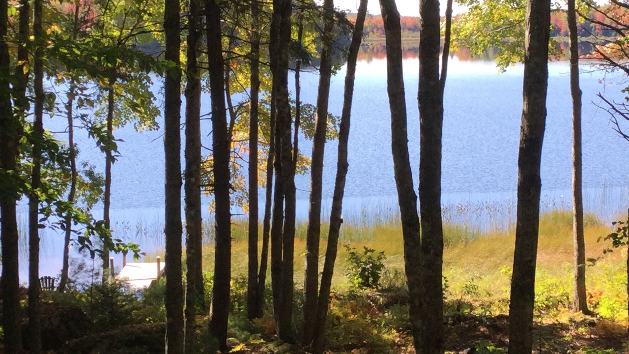 Photo of Outdoor in Franklin